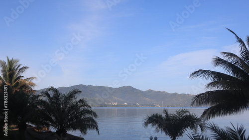 High angle coconut tree at daytime, Blue sky tree, tree top facing blue sky and sea at sunny day. Indonesia's nature