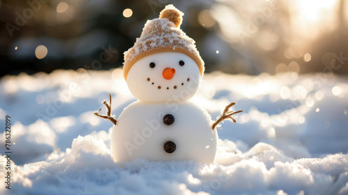 Christmas snowman © megavectors
