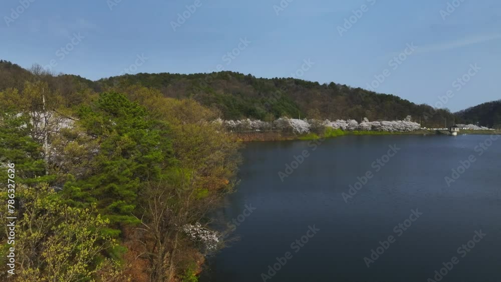 Cherry Blossom-flowered Lake and Korean View from a Drone Cherry Blossom-flowered Lake and Korean View from a Drone
