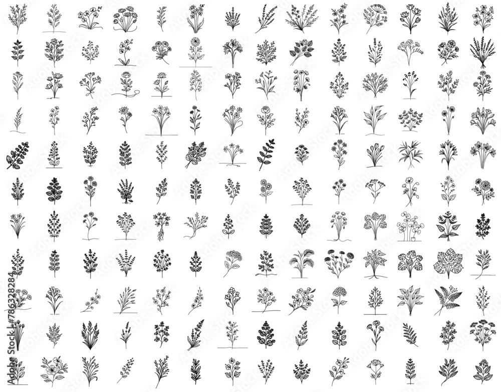 flowers, leaves, wild flowers, herbs, plants, nocolor vector illustration silhouette for laser cutting cnc, engraving, black shape decoration