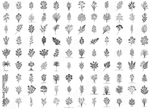 flowers, leaves, wild flowers, herbs, plants, vector illustration silhouette for laser cutting cnc, engraving, doodle line art style, hand-drawn monoline © Malgo
