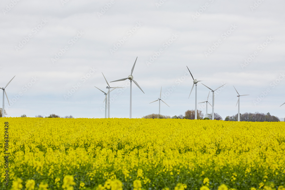 Blick auf Windräder, Haarstrang, Kreis Soest, NRW, Deutschland, April 2024 Blick auf Windräder, Haarstrang, Kreis Soest, NRW, Deutschland, April 2024