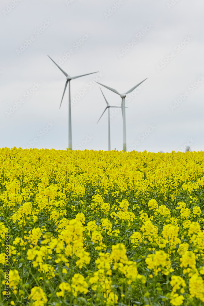 Blick auf Windräder, Haarstrang, Kreis Soest, NRW, Deutschland, April 2024 Blick auf Windräder, Haarstrang, Kreis Soest, NRW, Deutschland, April 2024