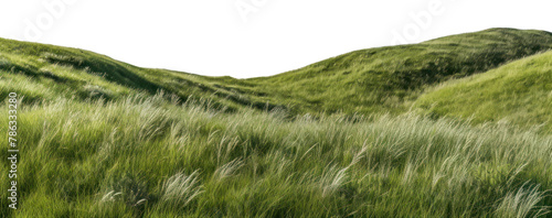 PNG Wild grass hills landscape nature vegetation © Rawpixel.com