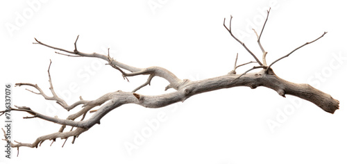 PNG Grey dry branch driftwood white background tranquilit