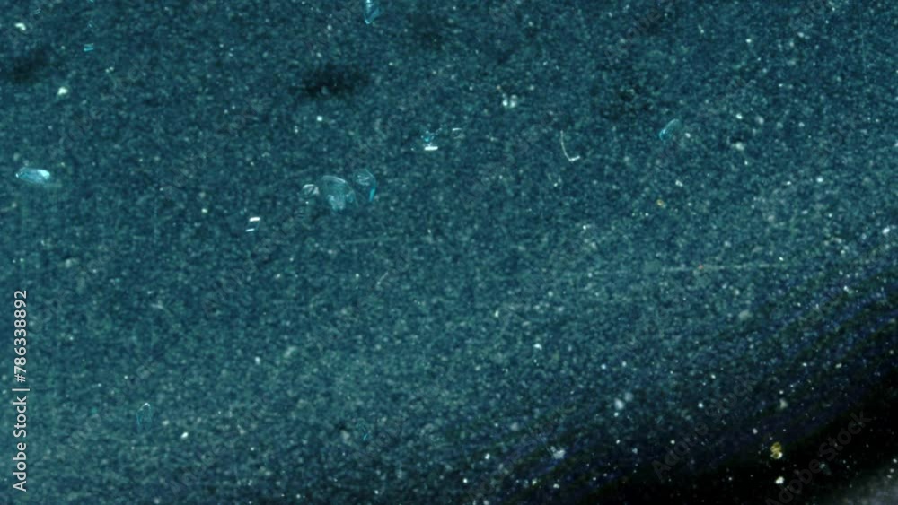 crystal growth during solution evaporation time lapse crystal growth during solution evaporation time lapse