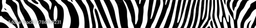 zebra stripes black pattern silhouette overlay vector, shape print, monochrome clipart illustration, laser cutting engraving nocolor