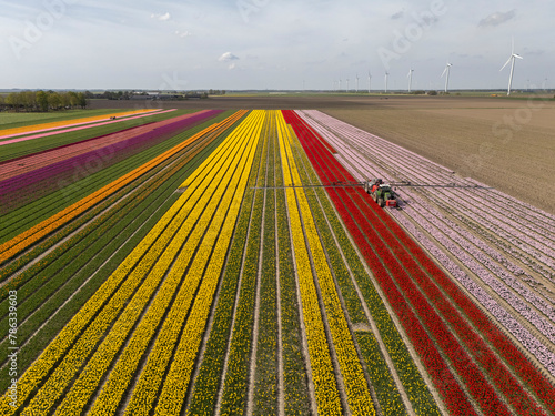 Aerial View: Controversial Pesticide Spraying in Dutch Flower Fields (ID: 786339603)