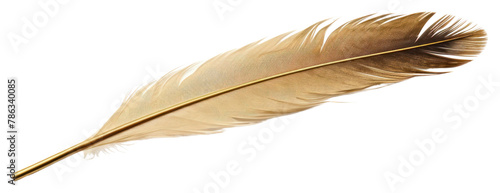 PNG  Quill white background lightweight accessories