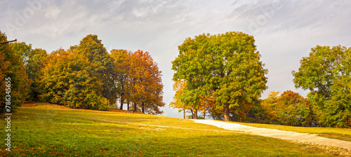 Panoramic autumn landscape with trees