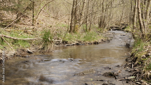 Der ruhig fließende Bach