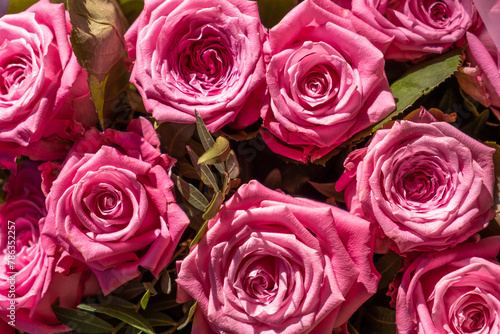 Pink roses background. Top view