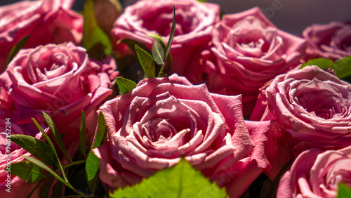 Pink roses bouquet background. Celebration concept