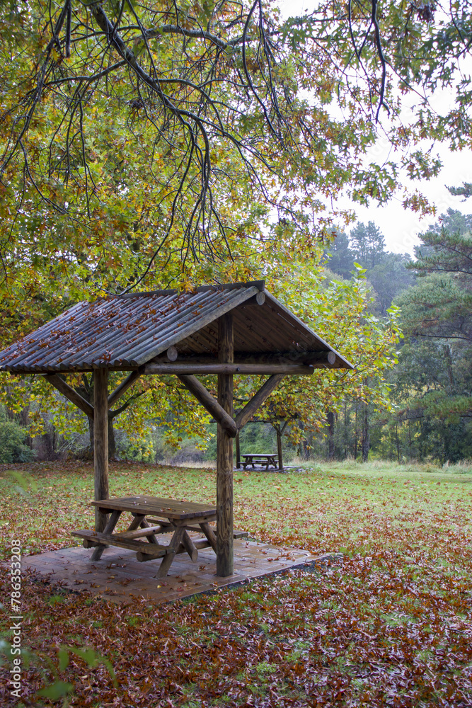 Autumn scene at Berrima new south Wales Australia, landscape photograph