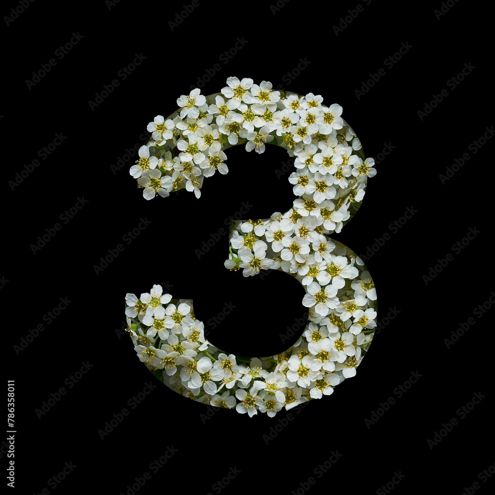 The number one is made of delicate white flowers on a black background. The number one is made of delicate white flowers on a black background.