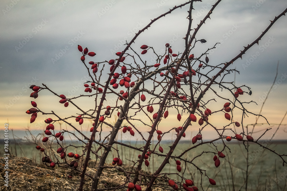 Europe, Romania, Constanta region, 2023 year - Landscapes Europe, Romania, Constanta region, 2023 year - Landscapes