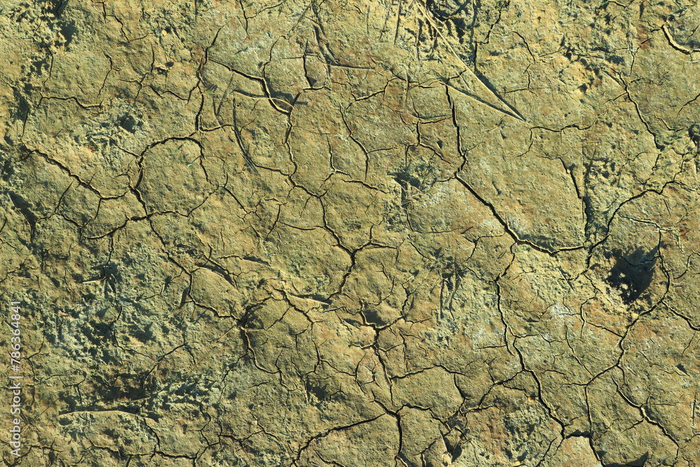 Fototapeta premium The ground cracked due to dryness in the dry season