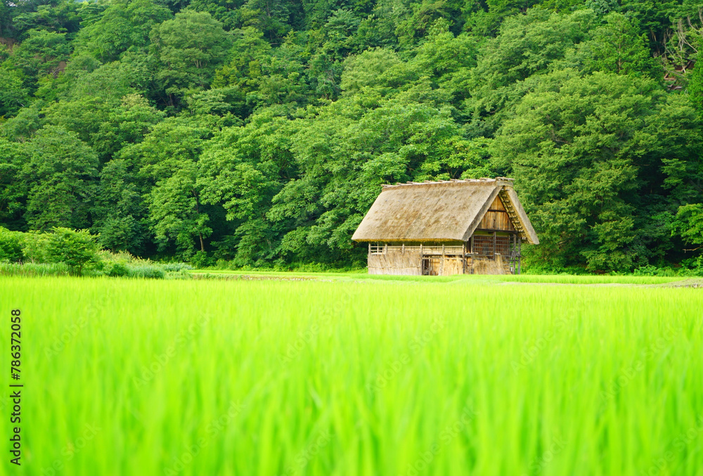 Obraz premium 草原と古屋