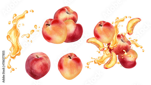Watercolor set with peaches levitation on splashing juice isolated on white. Illustration nectarines and fruits juice drops. Peach segment hand drawn. Design element for package, label product