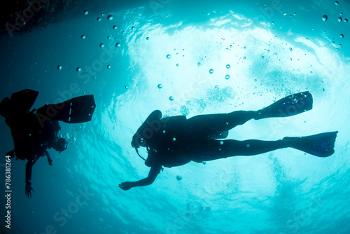 A beautiful silhouette of latina scuba divers diving underwater photo