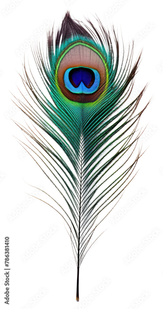 Obraz premium PNG Pattern animal bird lightweight