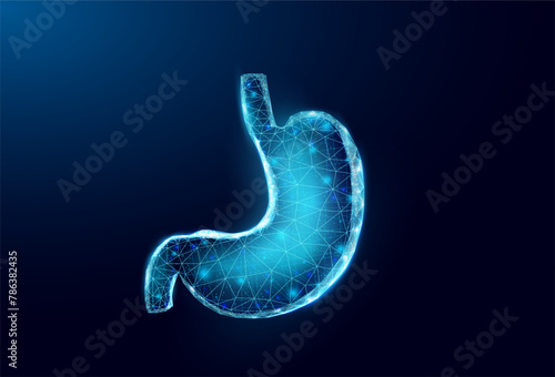 Human stomach. Wireframe low poly style. Concept for medical, treatment of the digestive system. Abstract modern 3d vector illustration on dark blue background.