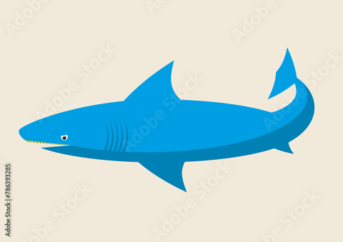 Shark, animal vector illustration, rare and endangered animal, fish, ocean, sea stock illustration
