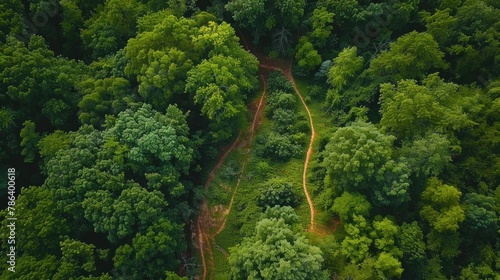Scenic aerial view of a winding trekking path in a forest. Trekking path in the forest from above, drone view. Aerial top view of a trail in the middle of a forest. Aerial view of footpath in forest
