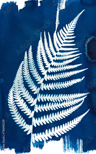 Cyanotypie, Sonnendruck, älteste photografische Druckverfahren von einem Farnwedels von einem echten Wurmfarn, blau, weiß photo