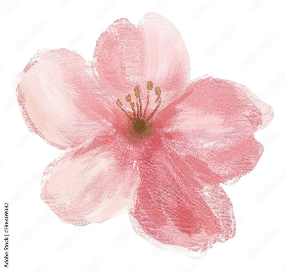 PNG Cherry blossom flower petal plant. PNG Cherry blossom flower petal plant.
