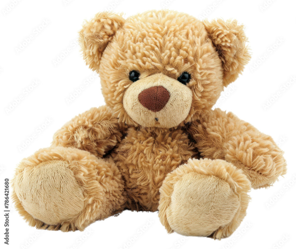 PNG Plush teddy bear toy.