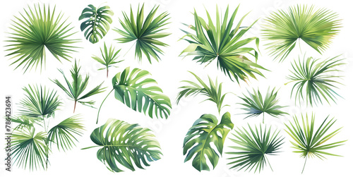 tropical leave watercolor illustration clipart.