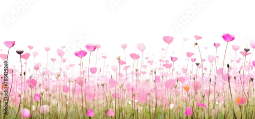 PNG  Pink flower field nature backgrounds grassland. #786425269
