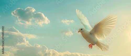 In the sky, there was a white dove