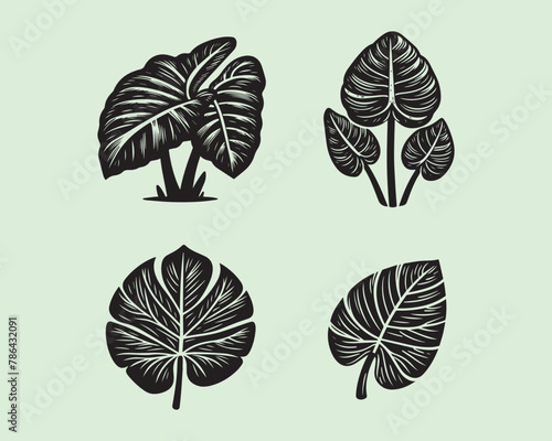 colocasia plant silhouette vector icon graphic logo design