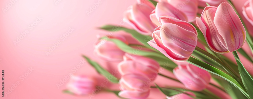 Bouquet of pink tulips on bokeh background. Mother's day background.