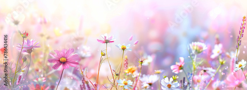 summer meadow with daisies and pink flowers panorama. Mother's day background.
