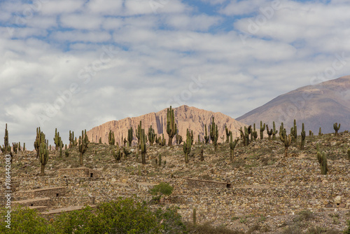 View of Pucara de Tilcara ruins in Jujuy, Argentina.