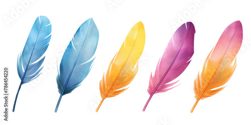 Collection of colorful feathers on a transparent background © PNG City