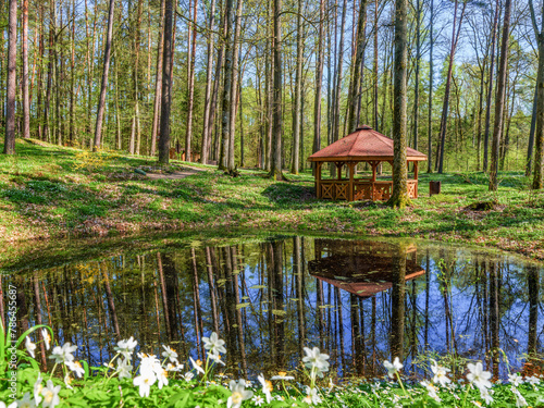 Wiosna w arboretum w Kudypach. © Janusz Lipiński
