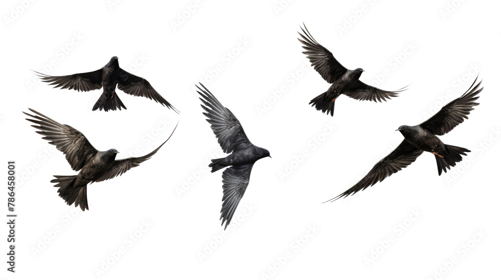 flock of birds. set of birds, birds in flight On transparent background flock of birds. set of birds, birds in flight On transparent background