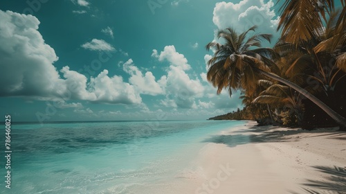 Beautiful beach with palm trees and moody sky. Summer vacation travel holiday background concept. Maldives paradise beach. Luxury travel summer holiday background concept.