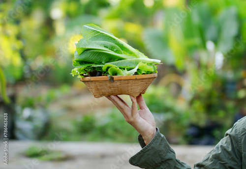 Farmer's arm holds harvest of fresh organic vegetables