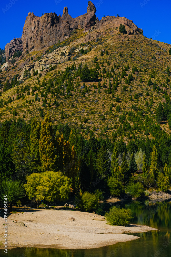 Transparent River in southern Argentina, Bariloche and San Martin de los Andes, Patagonia Route 40. Poplars in autumn changing color to yellow-green