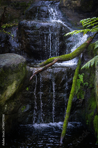 waterfall in the forest