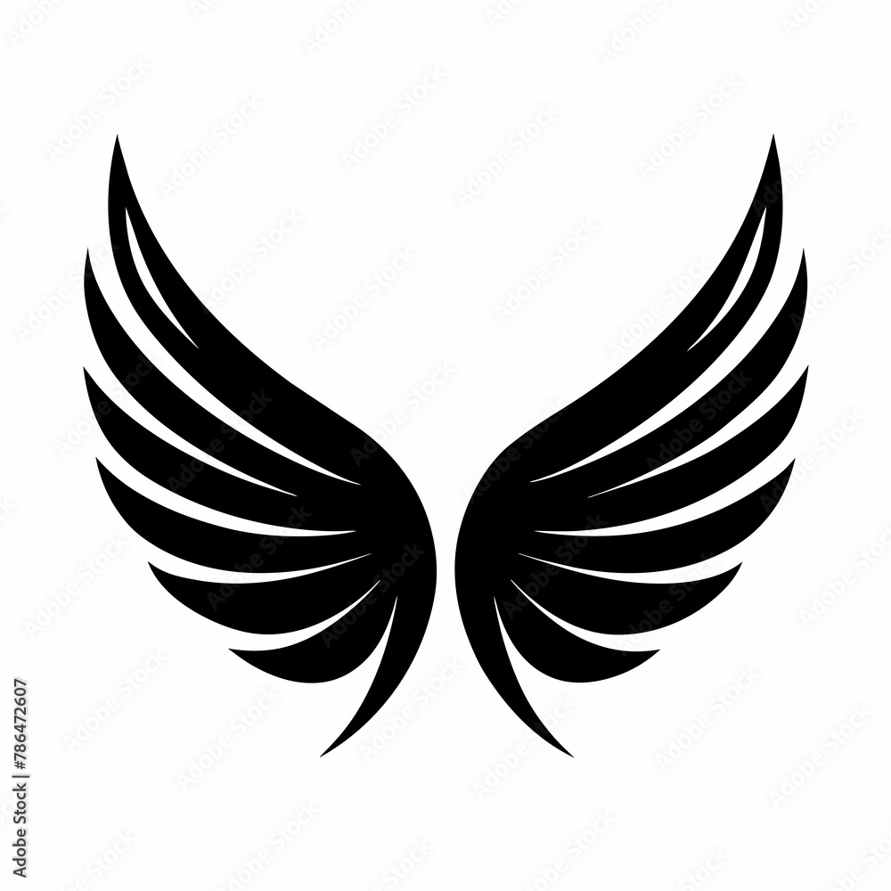 Obraz premium Angel Wings design