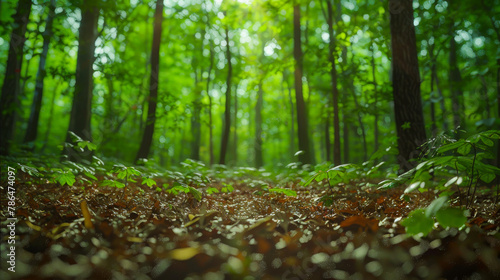 Summer Forest Scene with Light Filtering Through Green Leaves 