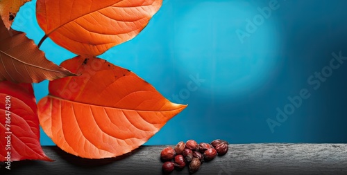 Beautiful fall backdrop with orange-red leaves.