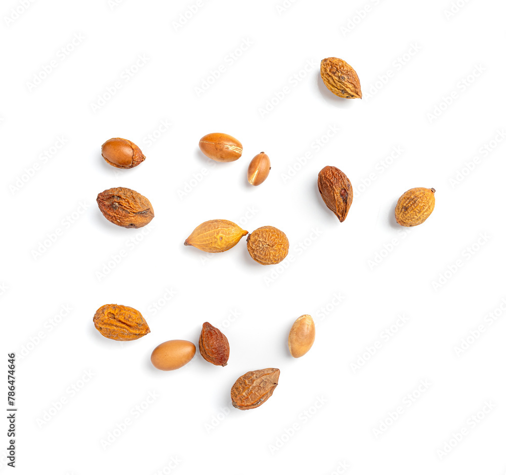 Argan Nuts Isolated, Argania Oil Seeds for Natural Organic Cosmetic, Skincare Argan Fruits Argan Nuts Isolated, Argania Oil Seeds for Natural Organic Cosmetic, Skincare Argan Fruits