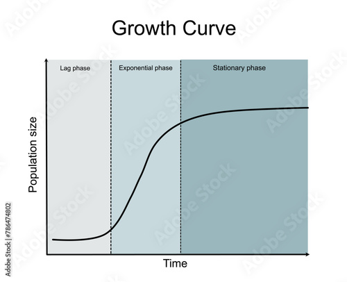 The analytical result of growth rate of bacterial or cells that shows the correlation between population size and time in the log, exponential and stationary phase in the curve.
